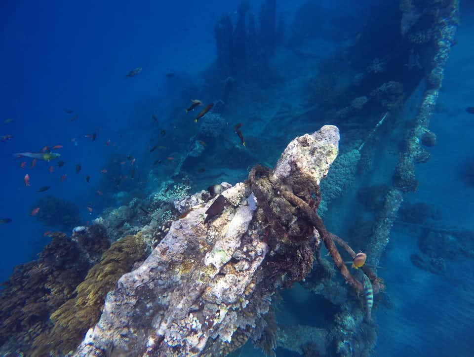 Shipwreck - Advanced Adventurer Diving Course in Bali