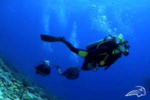 Why I Took My Advanced Adventurer Diving Course in Bali