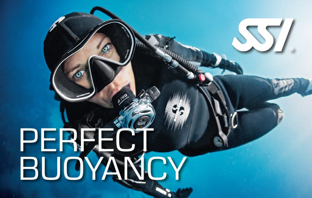 You’re Legally a Diver! Here is How You Can Upgrade Your Diving Prowess