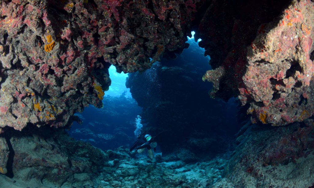 Look! Scuba Diver’s Portal to the Underwater World
