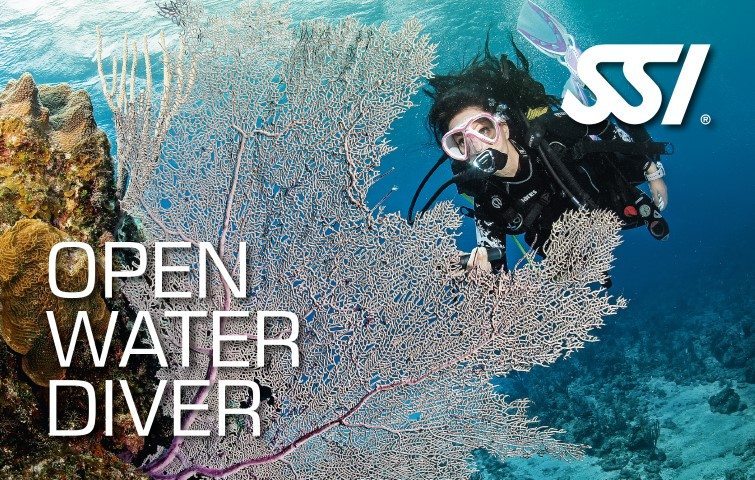 Look! Scuba Diver’s Portal to the Underwater World