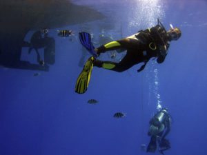 5 Benefits of Scuba Diving