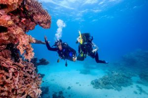 5 Benefits of Scuba Diving