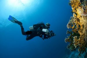 5 Benefits of Scuba Diving