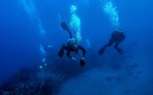 5 Benefits of Scuba Diving