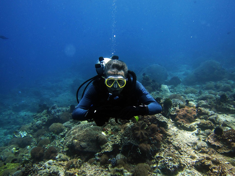 Anambas Diving