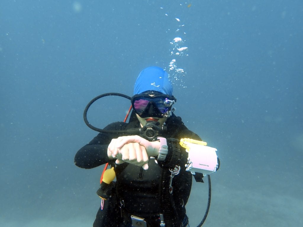 Tioman Diving Hover