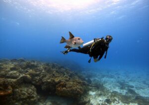 Diver and fish underwater buoyancy skills