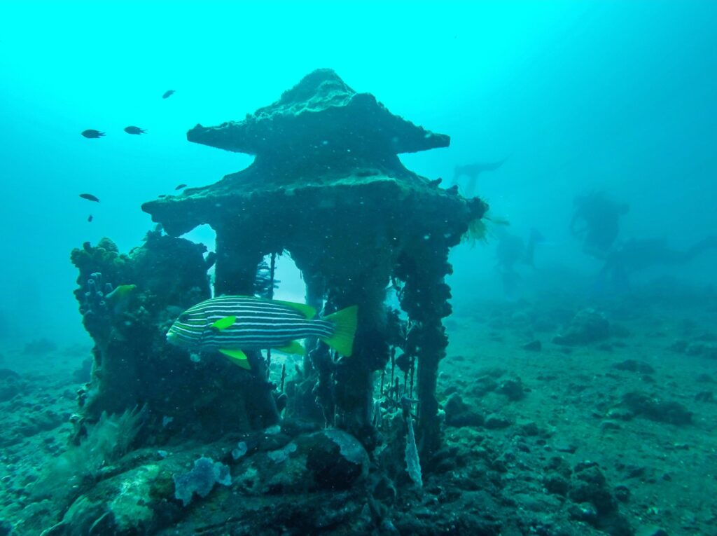 Tepekong Bali Dive Sites