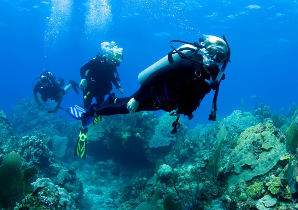 Divers Underwater to Experience Diving in Bali
