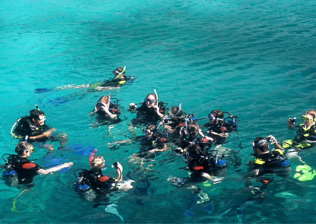 Scuba Diving Group Class