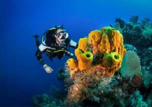 Advanced diving course - deep