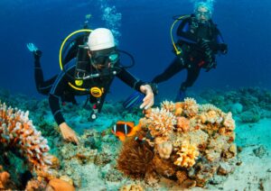 Beginner Divers Dive Underwater