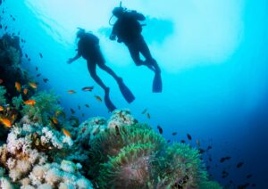 Coral Reefs with 2 divers