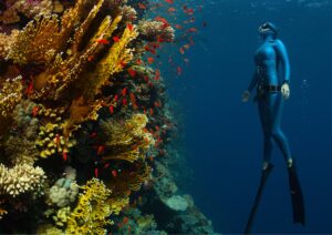 freediving in Bali - diver with coral reef