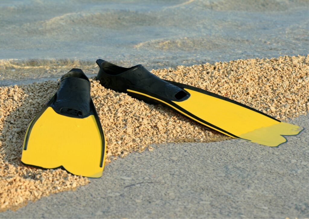 diving equipment - fins