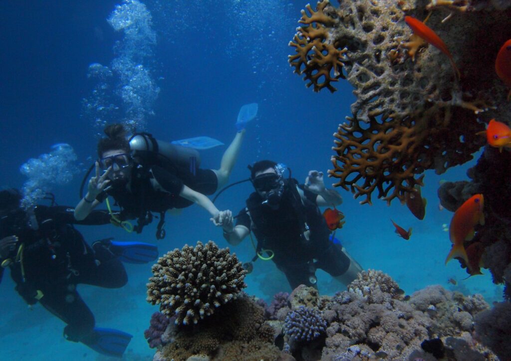 Bali Diving Adventure