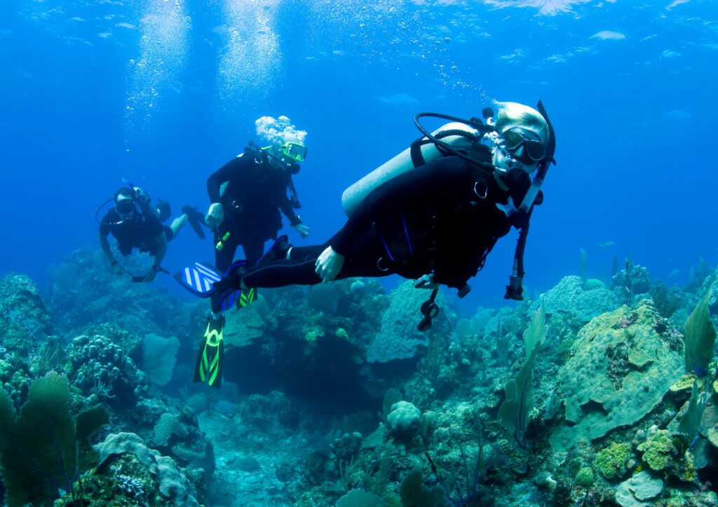 Career in Scuba Diving