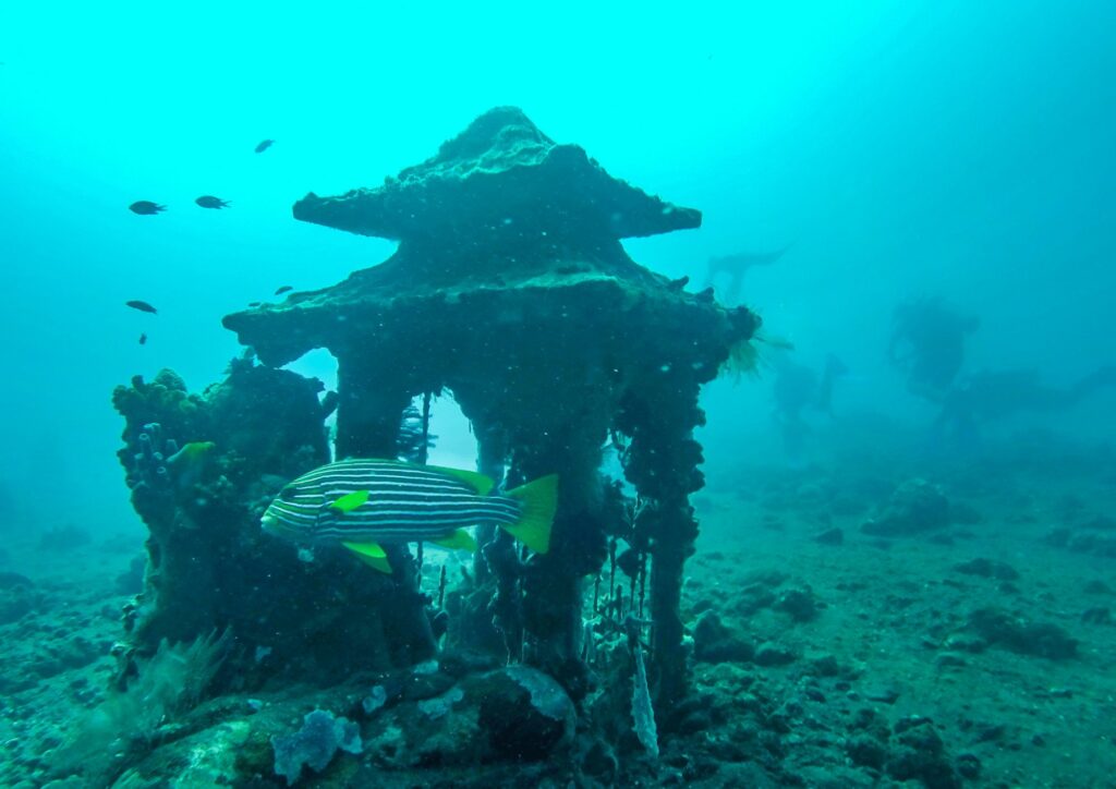 Dive Sites in Bali - Amed