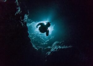 night diving in Bali divers