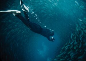 Bali free diving sites