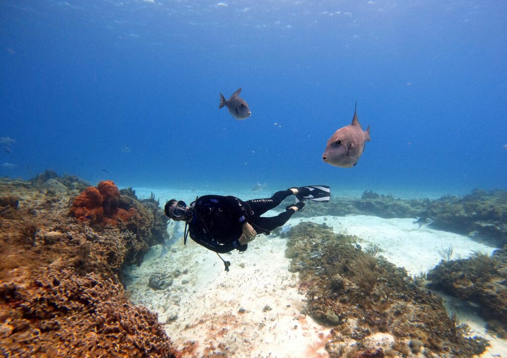 Bali underwater world