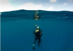 Scuba diving Career