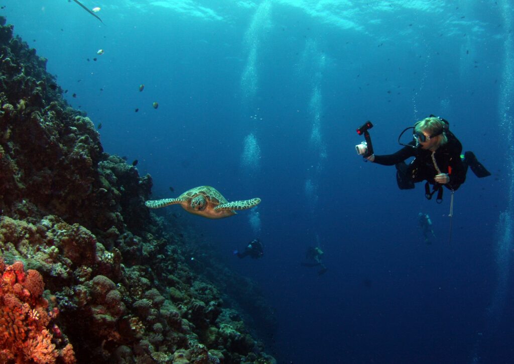 Seasons for Scuba Diving in Bali