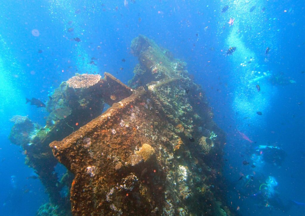 Bali Diving - Wreck