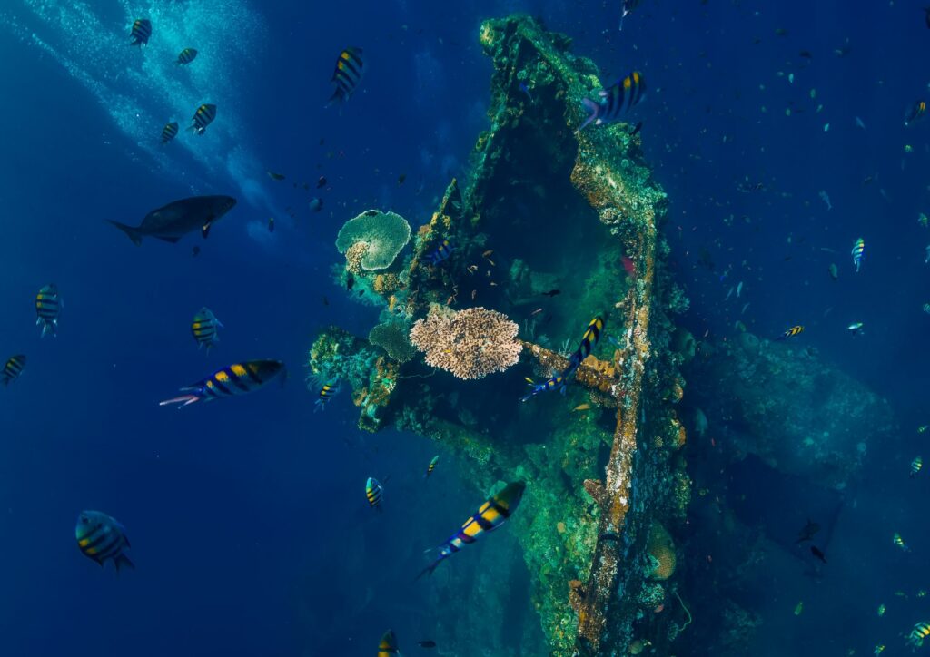 Bali Diving - wreck
