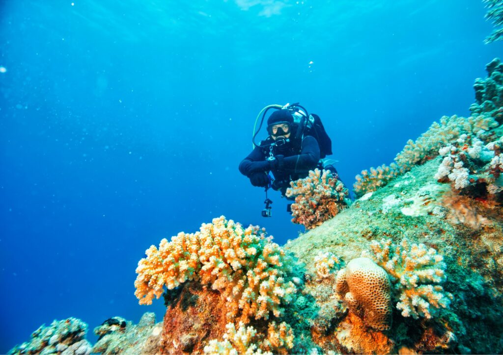 bali open water course - diver with corals