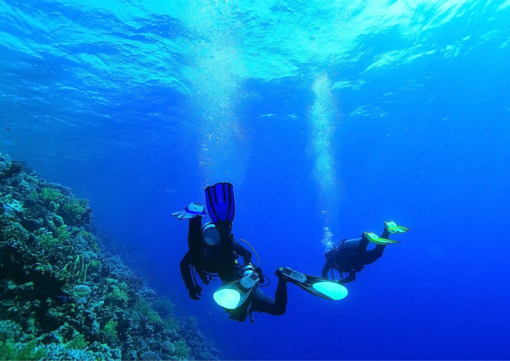 basic scuba diving divers with corals