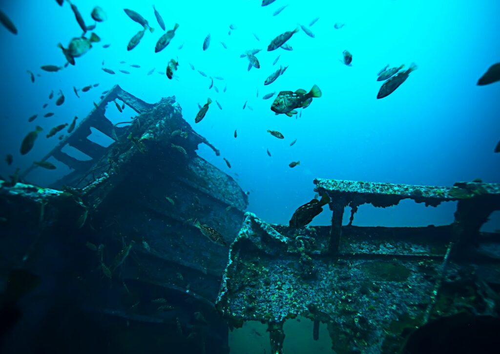 Underwater Acheological - Shipwreck
