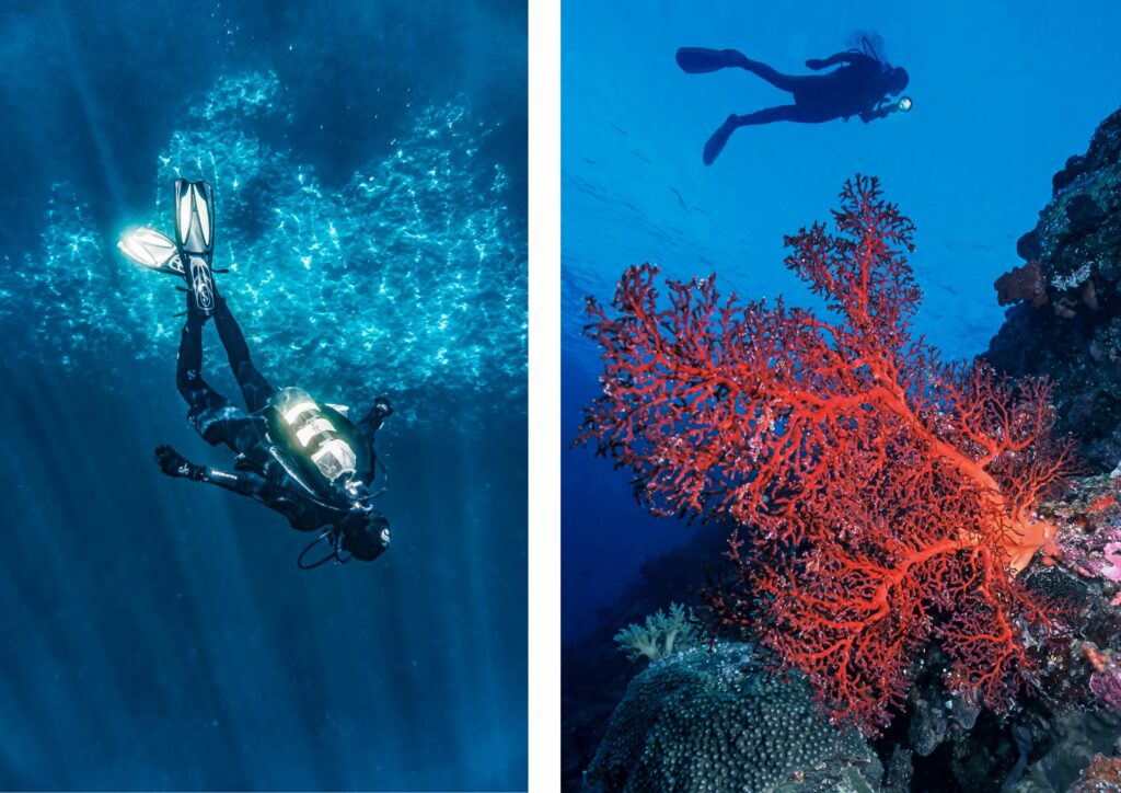 Bali Diving Seasons - 2 divers with corals