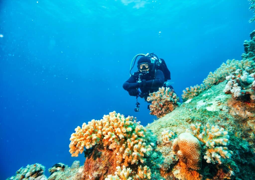 Bali diving - corals with driver