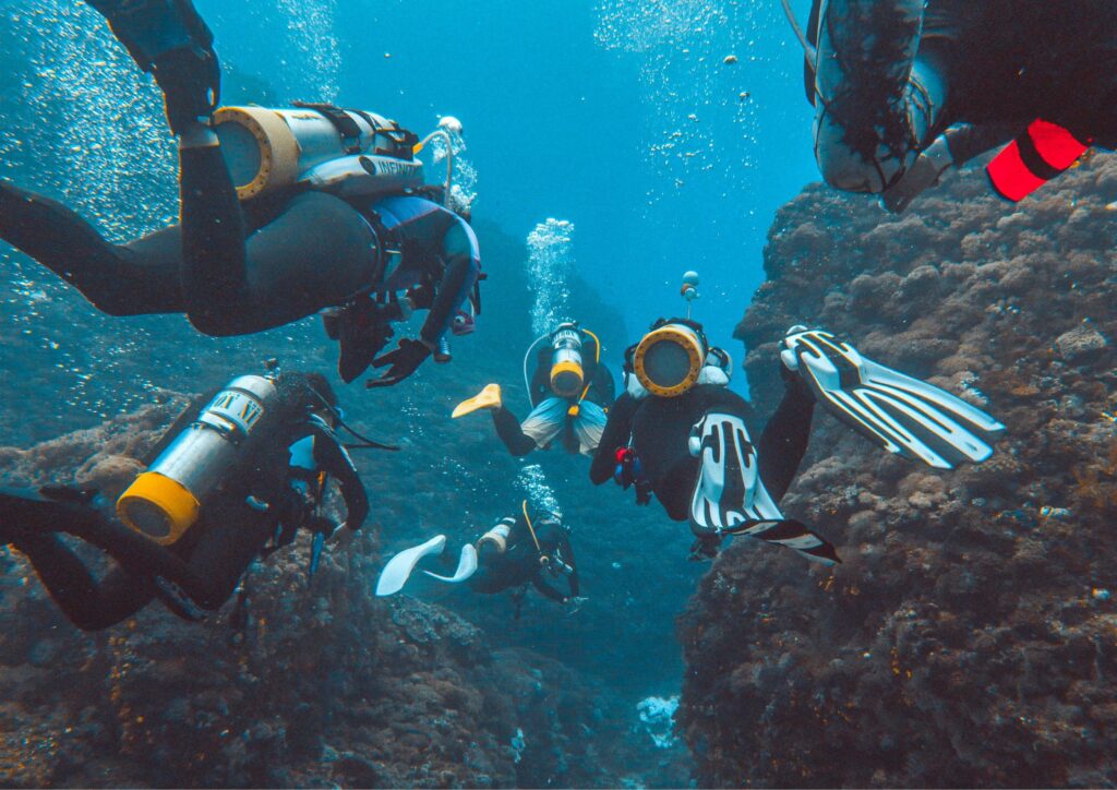 dive gear - divers with full gears in reef