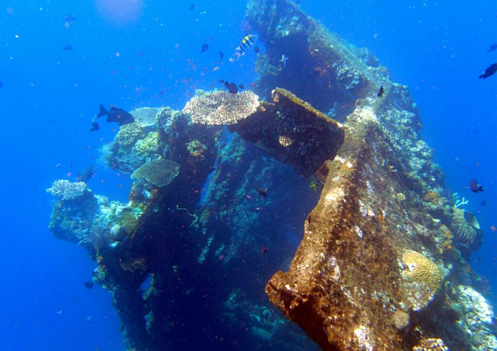 underwater acheological - wreck