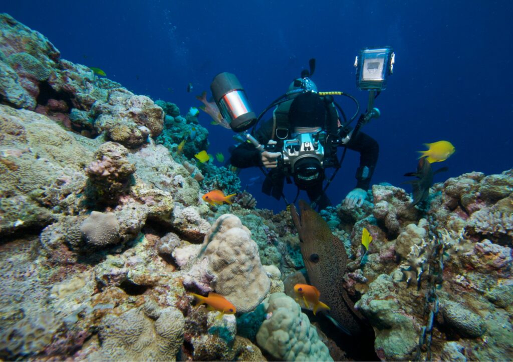 underwater photography in Bali - photographer