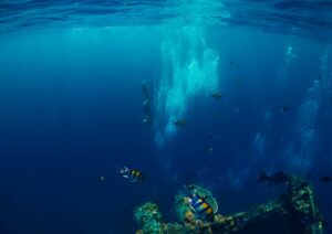 specialty diving wreck sites Bali