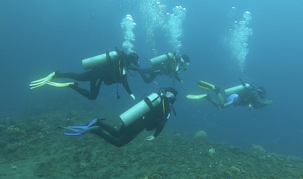 Bali diving - 4 divers