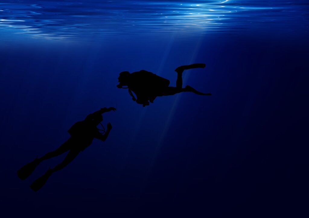 underwater night dive