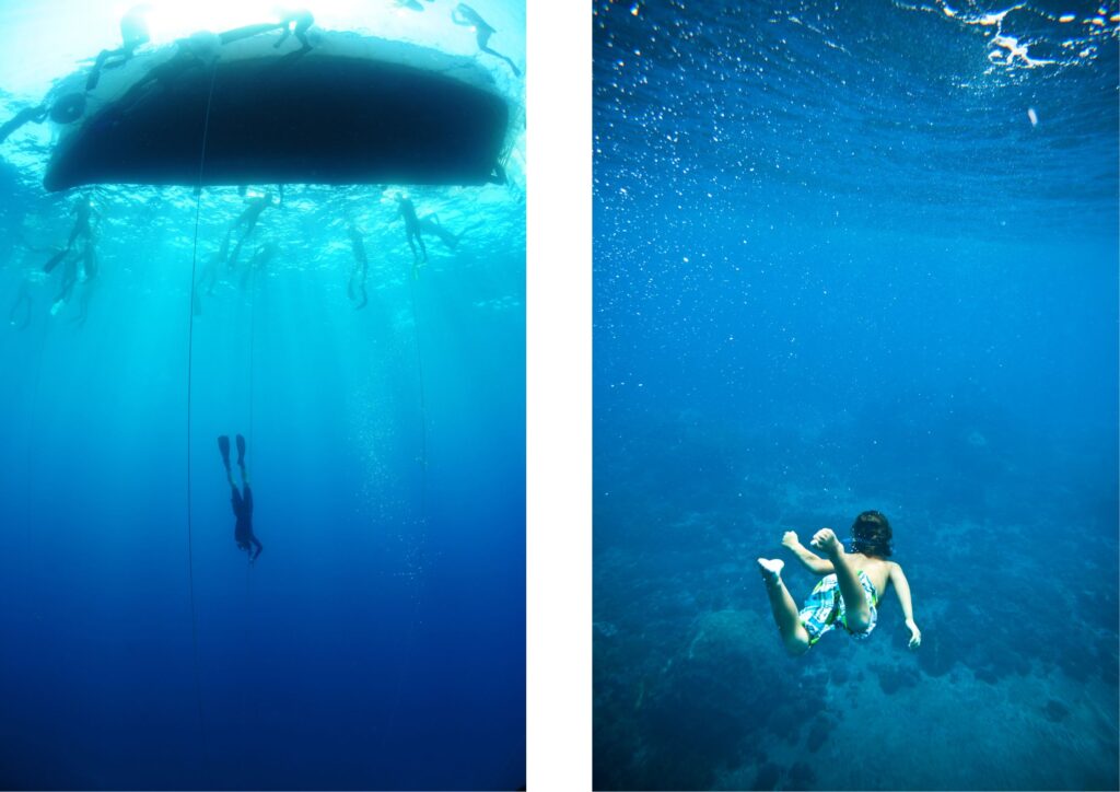 Bali free diving