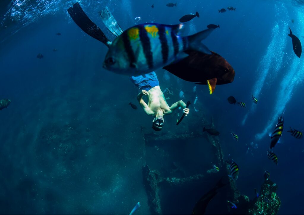 Free diving in Bali