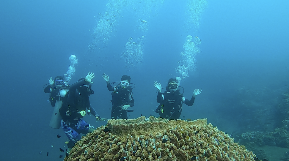 wave - 4 divers with corals